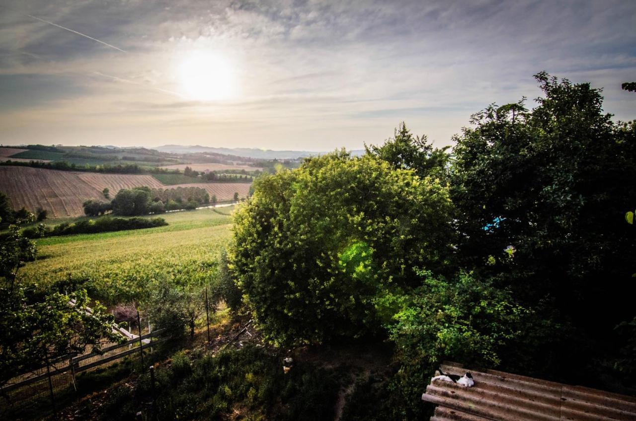 Tenuta San Rocco Conzano Kültér fotó