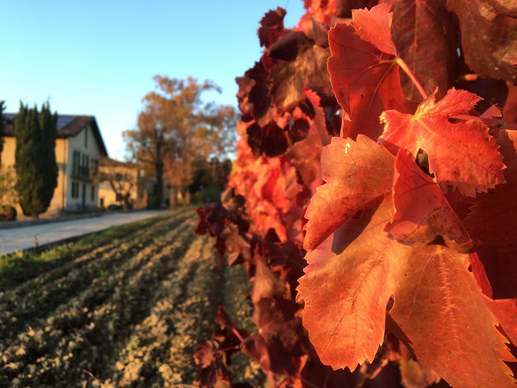 Tenuta San Rocco Conzano Kültér fotó